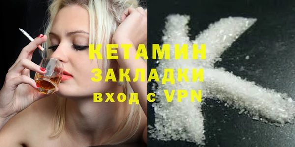 PSILOCYBIN Ельня