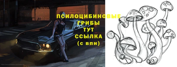 PSILOCYBIN Ельня