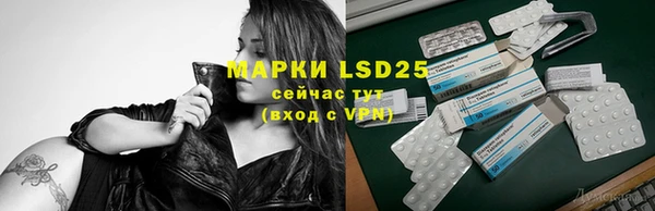 тгк Елабуга