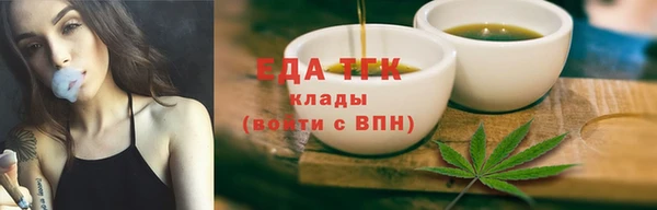 PSILOCYBIN Ельня