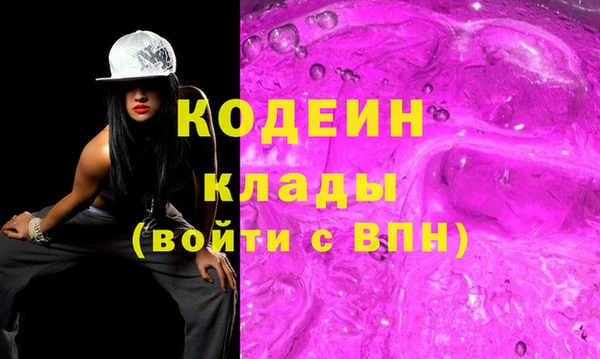 PSILOCYBIN Ельня