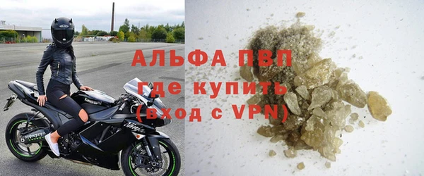 PSILOCYBIN Ельня