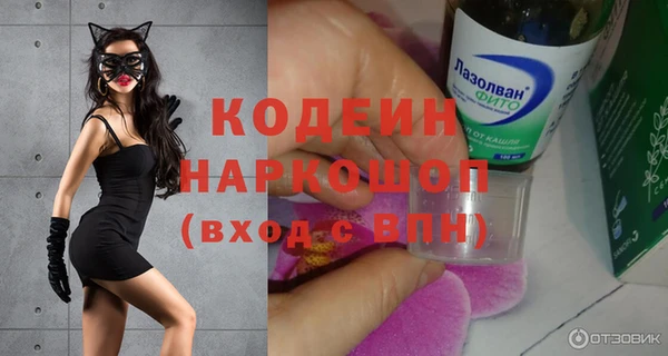 PSILOCYBIN Ельня