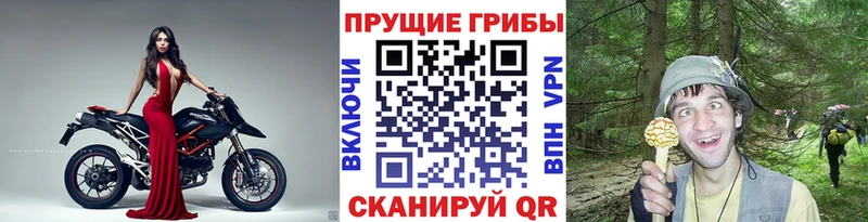 Купить закладки  Южноуральск  Псилоцибиновые грибы прущие грибы 